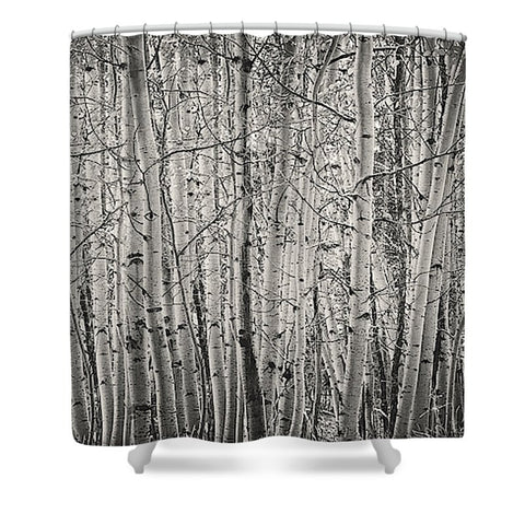 Aspen Illusion Shower Curtain