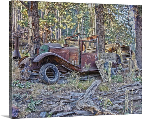 Black Hills Gold Canvas Print