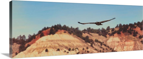 Have You Never Seen a Hawk on the Wing Canvas Print