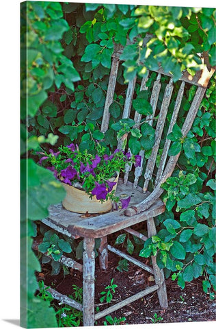 Old Chair New Petunias