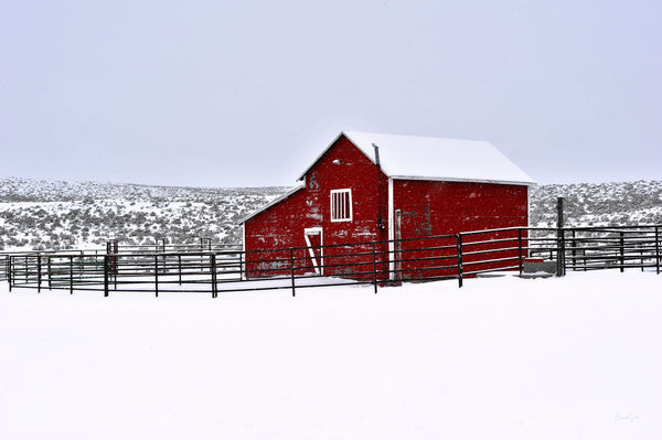 Red Barn in Winter Canvas Print