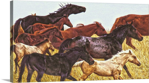 Spirit Races on the Prairie