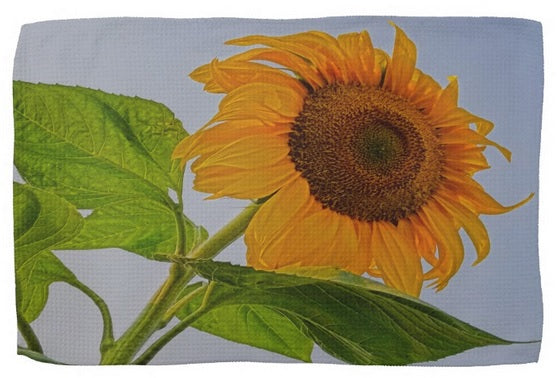 Sunflower Wild Kitchen Towel