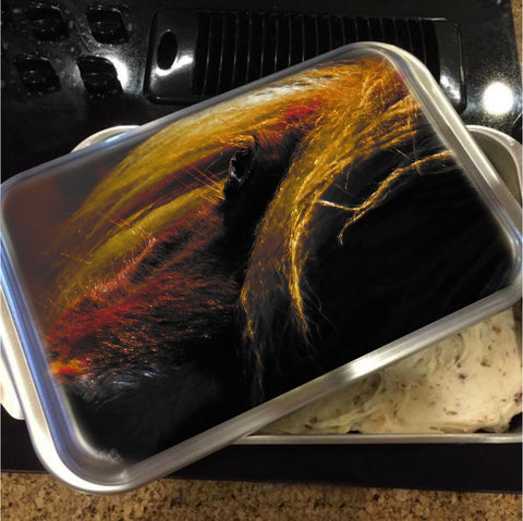Sunset on the Wild Cake Pan with Lid