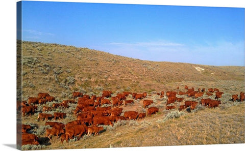Wyoming Reds Canvas Print