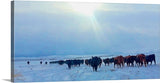 Wyoming Winter Push Canvas Print