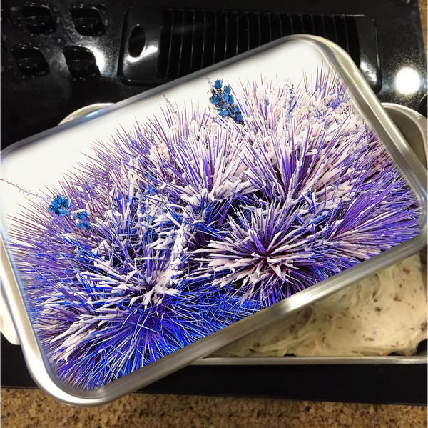 Winter Yucca in Blue Cake Pan with Lid