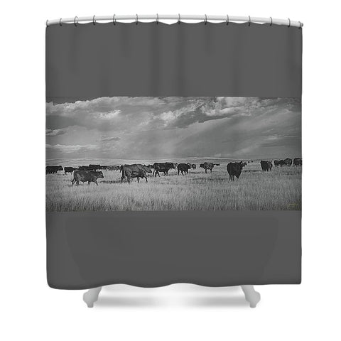 Blazing the Afternoon Trails Shower Curtain