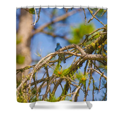 Mountain Bluebird Shower Curtain
