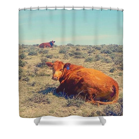 Naptime in April Shower Curtain