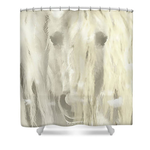 Winter's Reflection Shower Curtain