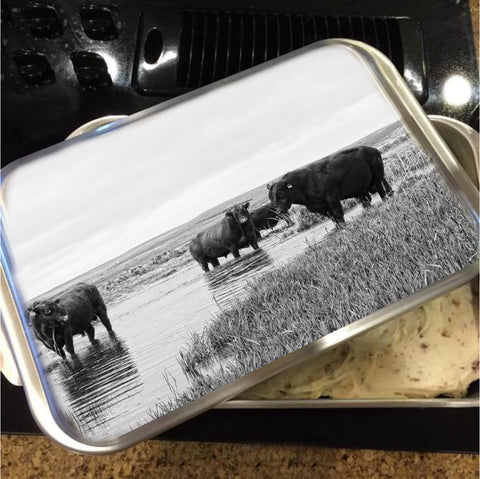 Cattle, Bulls and Livestock Cake Pans