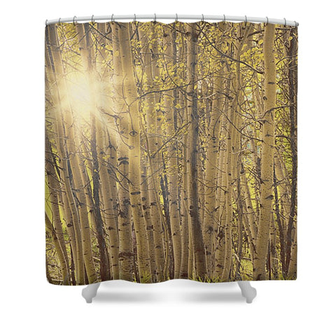 Aspens in Summer Shower Curtain