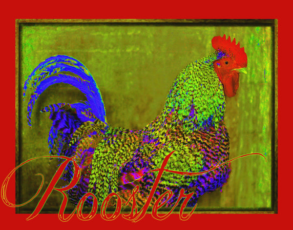 Bert the Rooster Red Canvas Print