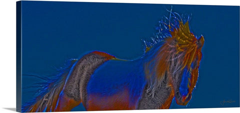 Blue Stallion Canvas Print