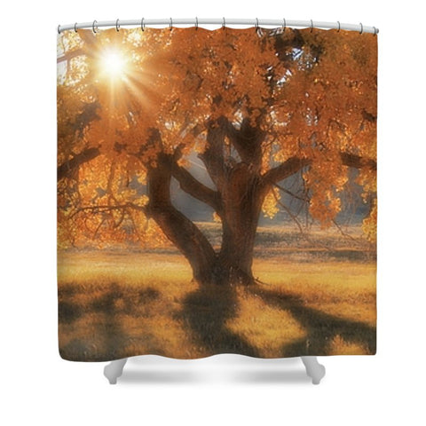 Boxelders Autumn Tree Shower Curtain