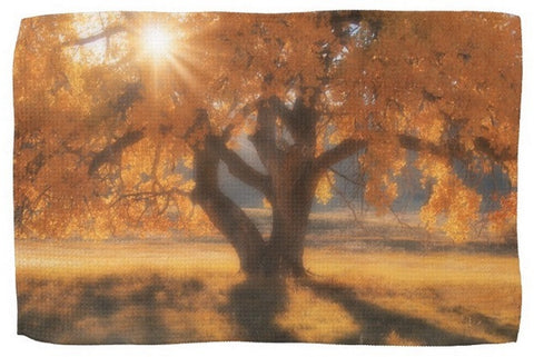 Boxelders Autumn Tree Kitchen Towel