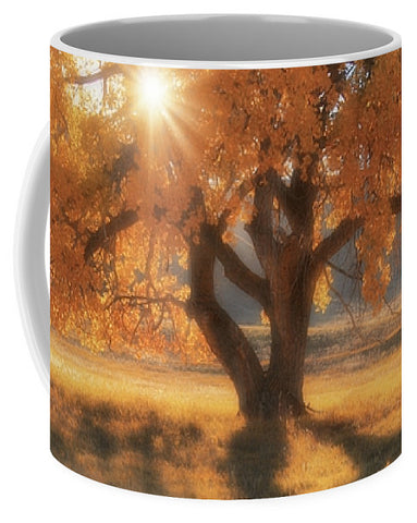 Boxelders Autumn Tree Mug
