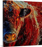 Bull On Ice Canvas Print