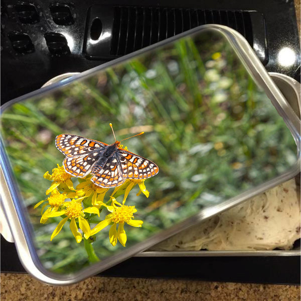 Butterfly in Aspen Cake Pan with Lid