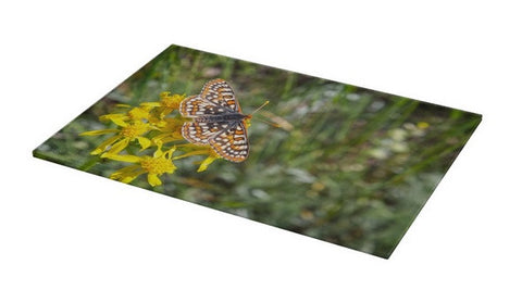 Butterfly in Aspen Cutting Board