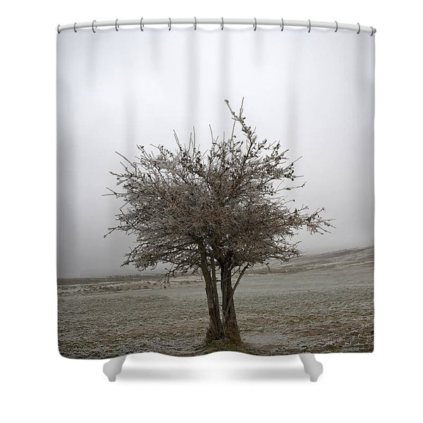 Cedar Tree Shower Curtain