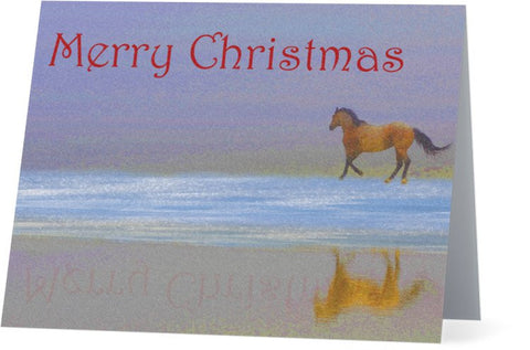 Christmas Reflection Christmas Card (25 Pack)