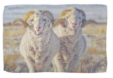 Double The Ram Power Kitchen Towel