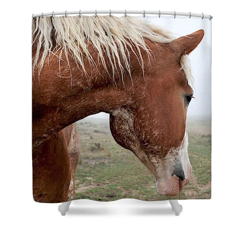 Dreaming in the Mist Shower Curtain
