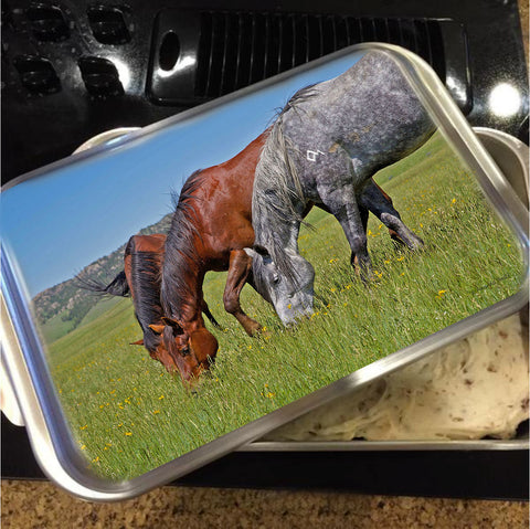 Grass Grazing Time Cake Pan with Lid