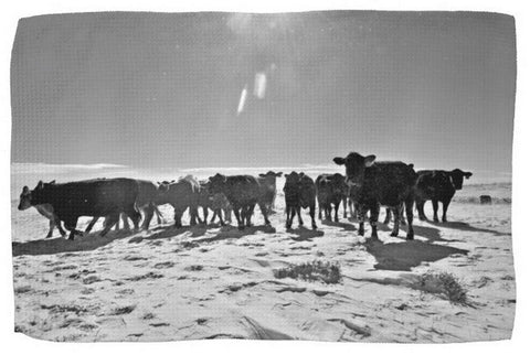 Heifers In The Snow Kitchen Towel