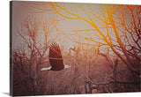 Home By Sunset Canvas Print