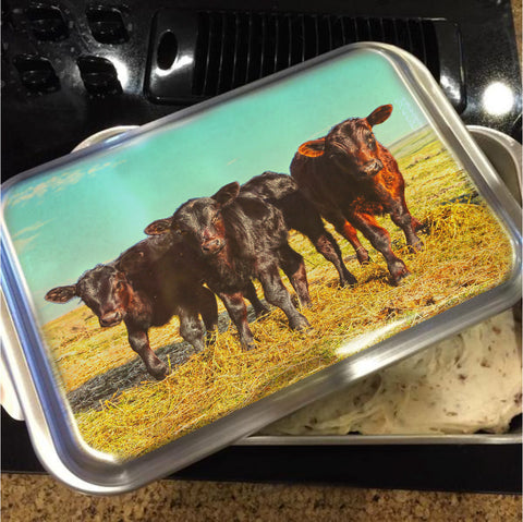 In the Mood for Hay Cake Pan with Lid