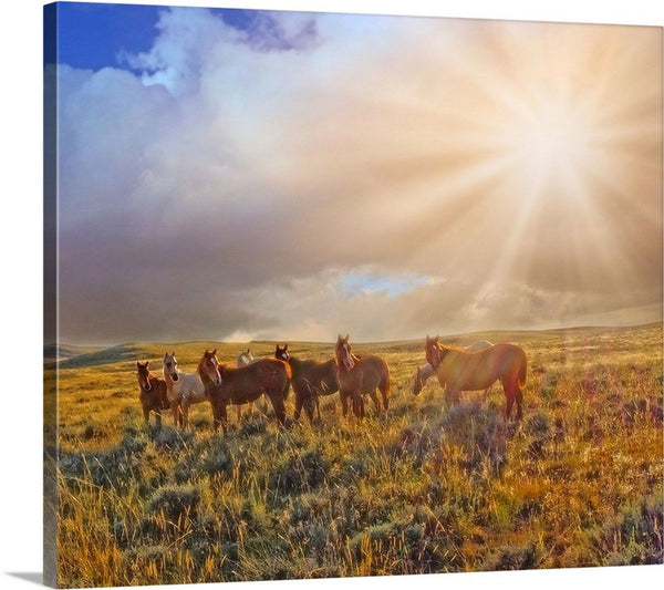 Led by the Light Canvas Print