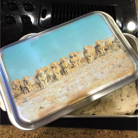 Line Em Up Rams Cake Pan with Lid
