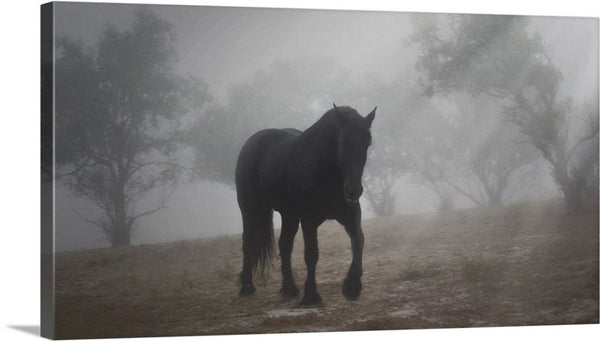 Medieval in the Mist Canvas Print