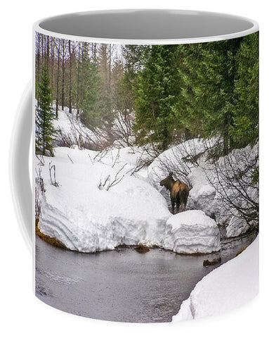 Moose in Alaska Mug