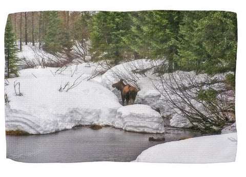 Moose in Alaska Kitchen Towel