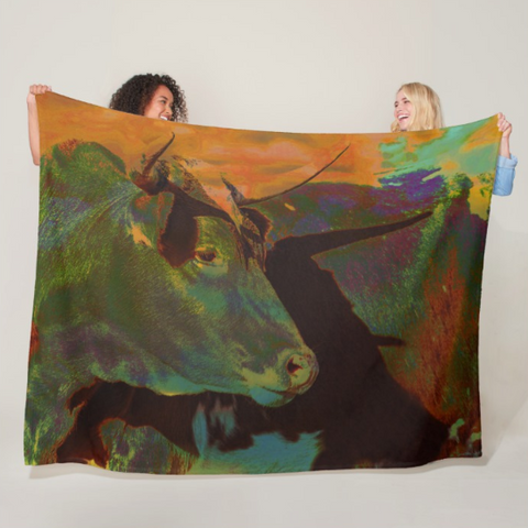 Multi-Color Power Fleece Blanket