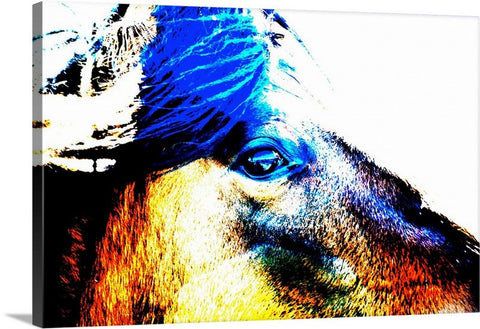 Mustang Sally Canvas Print