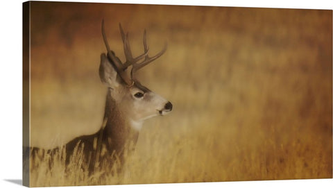 Papa Deer Canvas Print
