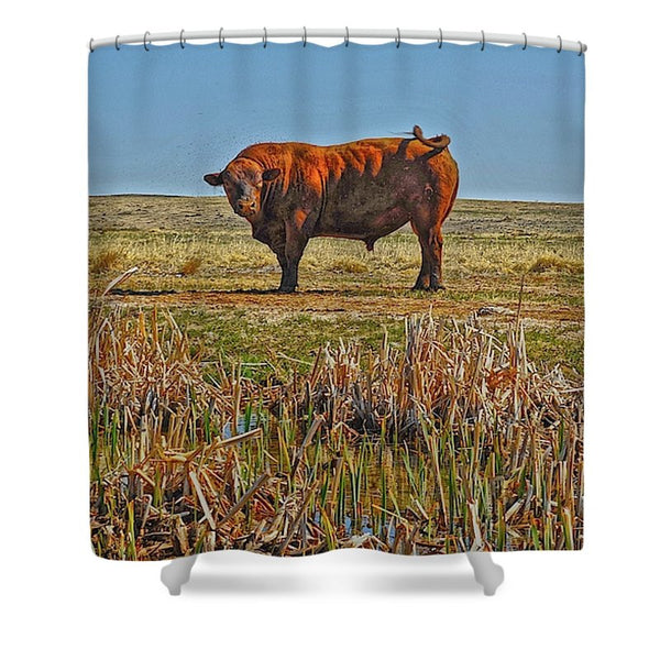 Pigtail Bull Shower Curtain