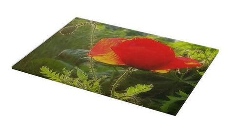 Red Poppy at Sunset Cutting Board