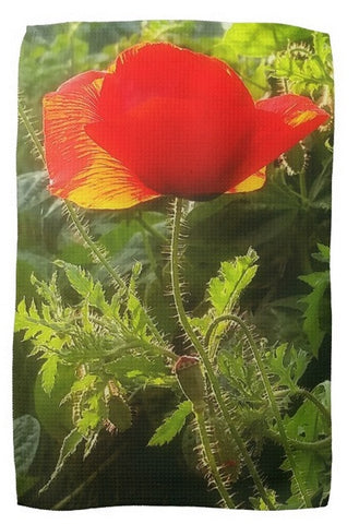 Red Poppy at Sunset Kitchen Towel