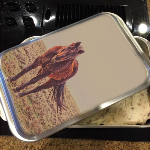 Rust and Prairie Wise Cake Pan with Lid
