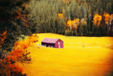 Fall on a South Dakota Meadow Canvas Print