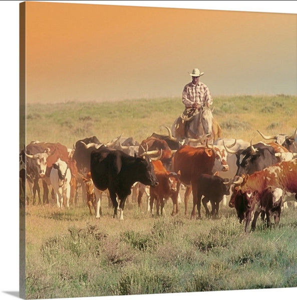 The Colors of a Corriente Roundup Canvas Print
