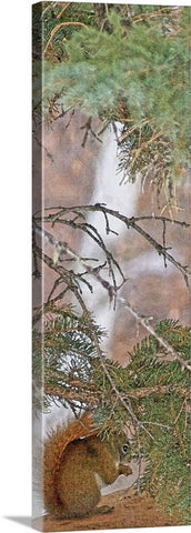 Squirrel, Pine Tree and a Nut Canvas Print