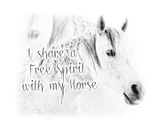 Free Spirit Horse 3/4 sleeve Raglan T-Shirt