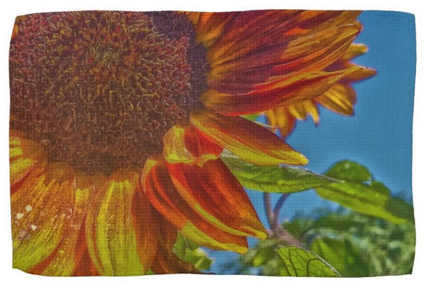 Sunflower Bonnet Kitchen Towel